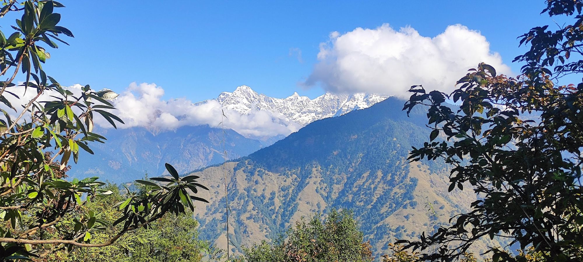 Moving from AWS Loadbalancers to Nginx