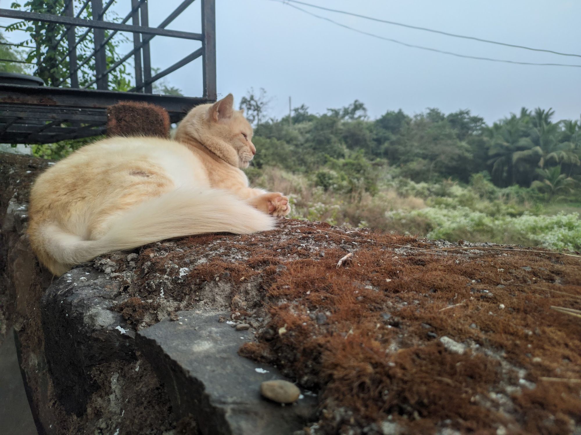 Reducing our Deployment times by 87%